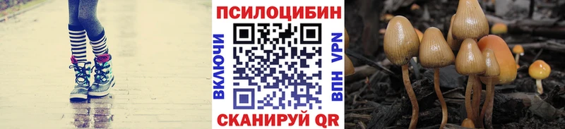 мега зеркало  Никольское  Галлюциногенные грибы Magic Shrooms 